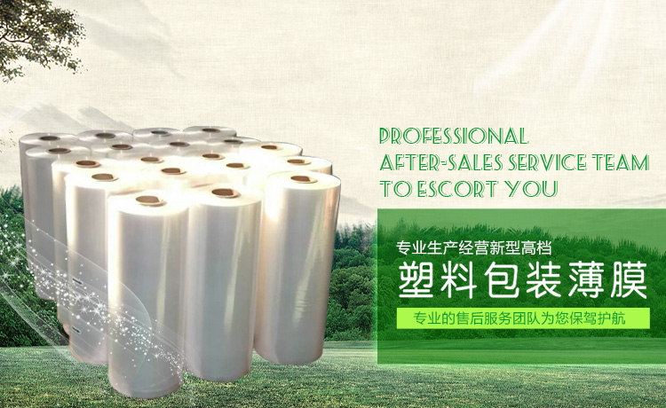 瑞力斯通軌道裝備制造